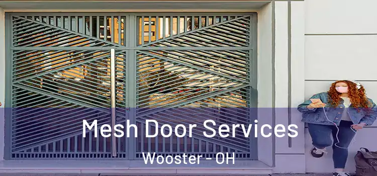 Mesh Door Services Wooster - OH